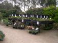  jardin exotique
